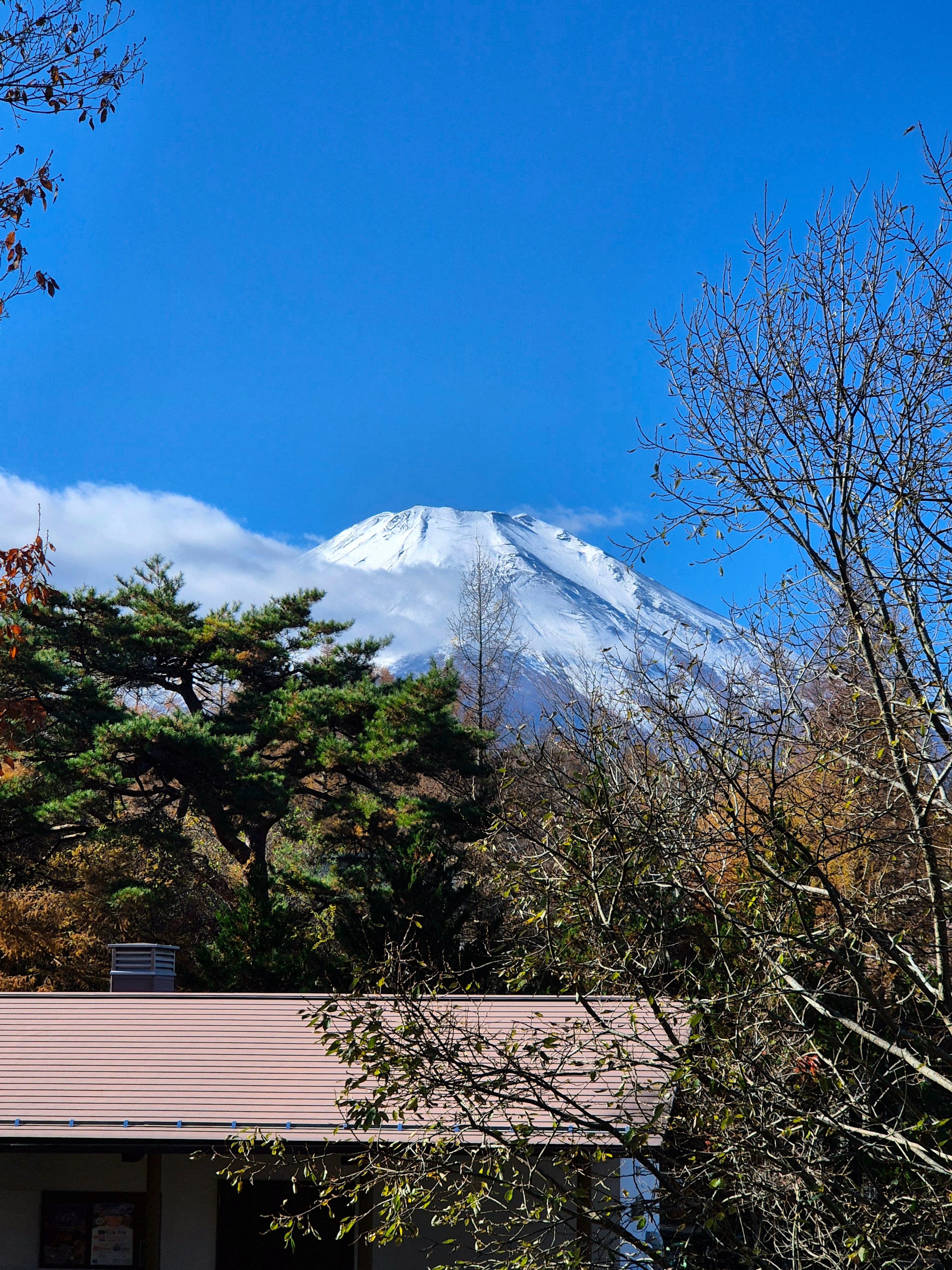 Monte Fuji