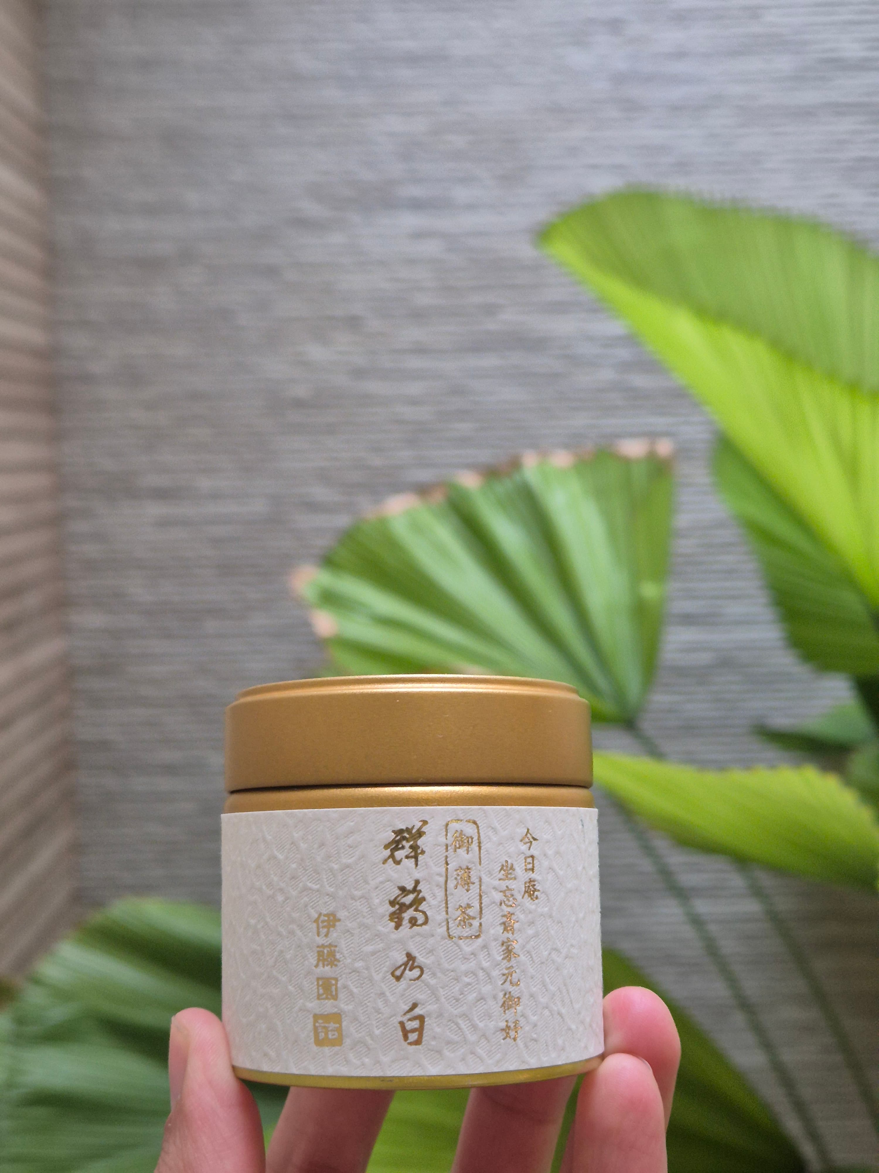 Matcha Ceremonial Japonés Shōhaku (Edición Premium)