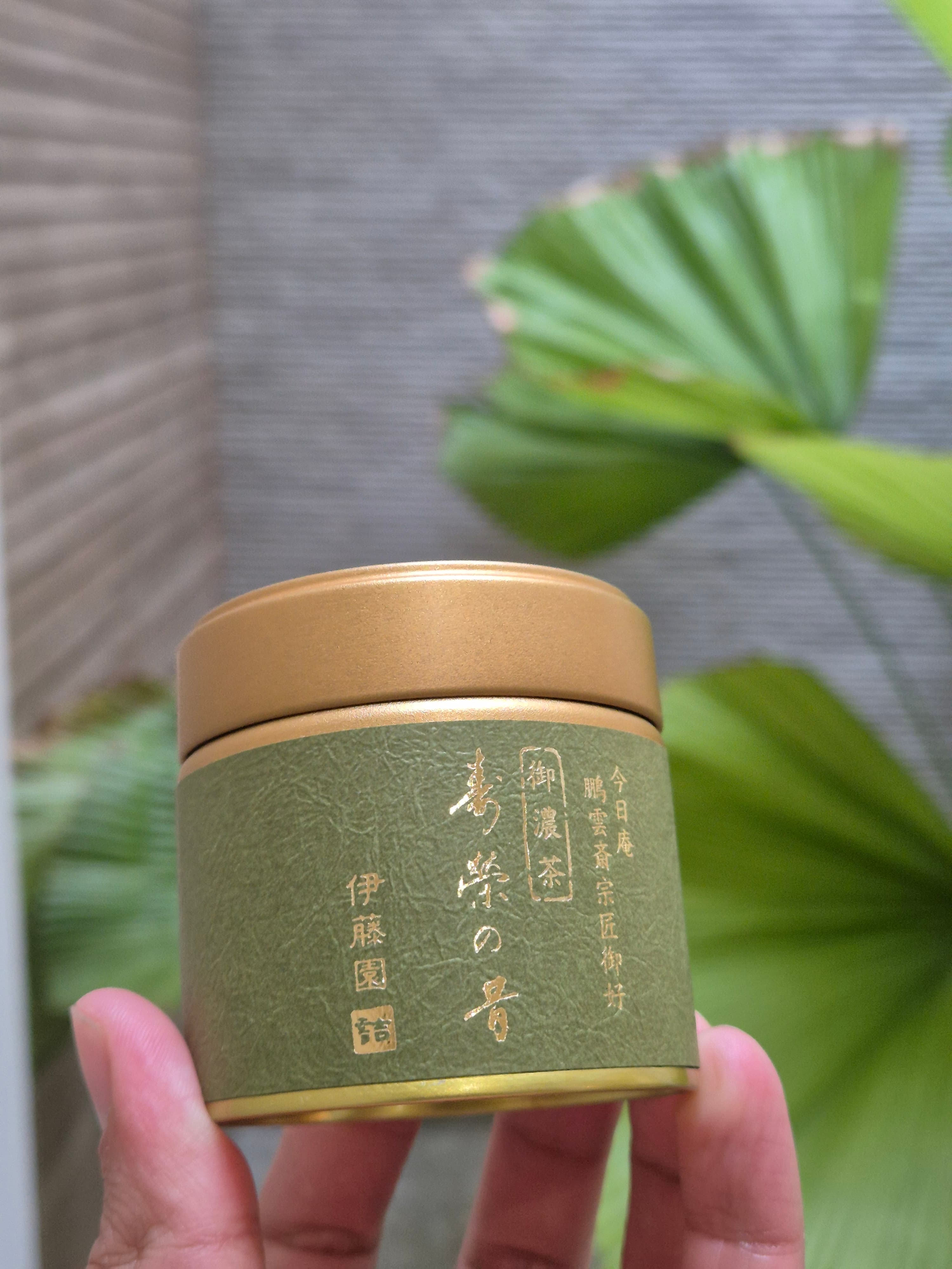 Matcha Japonés Uji Ceremonial (Edición Premium Verde)